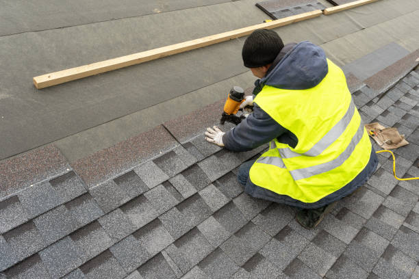 Best Roof Gutter Cleaning  in Tidmore Bend, AL