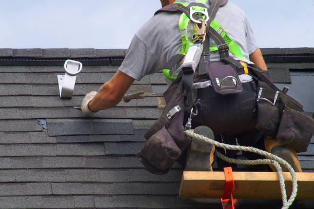 Best Metal Roofing Contractor  in Tidmore Bend, AL
