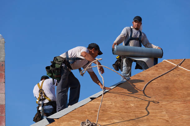 Best Residential Roof Replacement  in Tidmore Bend, AL